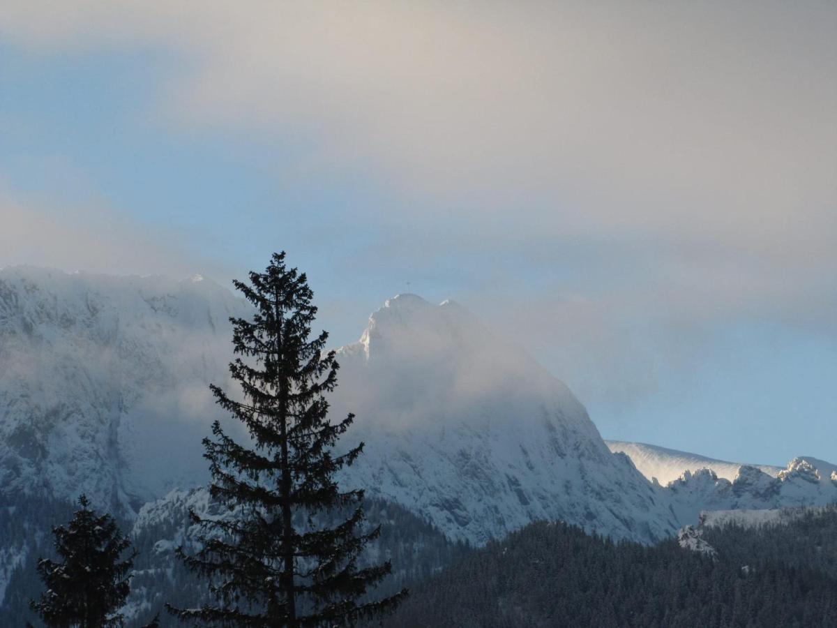 Domek Na Zaciszu Zakopane Bagian luar foto